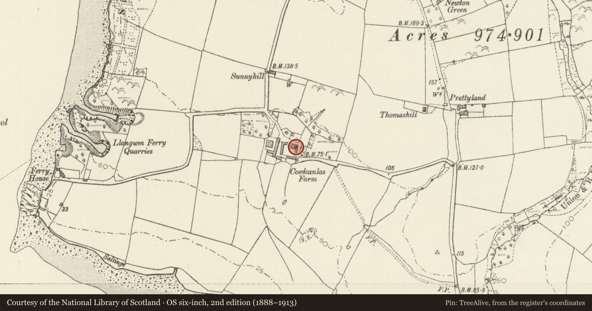 Ordnance Survey six-inch map, 2nd edition (1888–1913) covering the location of Coedcanlas Farmhouse and Attached Farmyard Range to S, Martletwy, Pembrokeshire, with a pin at the register's coordinates