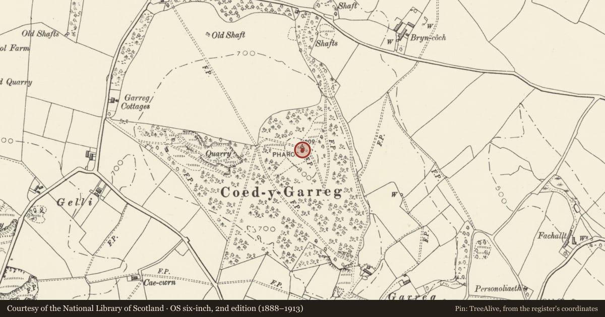 Ordnance Survey six-inch map, 2nd edition (1888–1913) covering the location of Mynydd y Garreg Tower, Whitford, Flintshire, with a pin at the register's coordinates