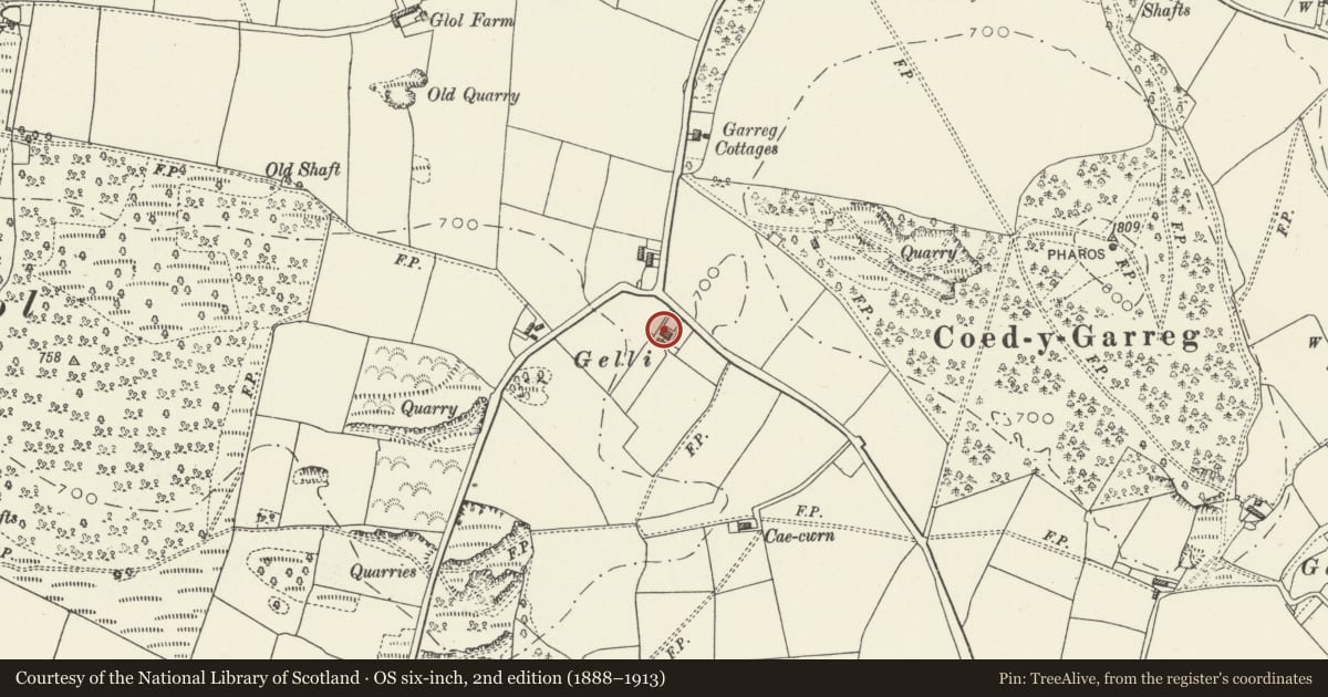 Ordnance Survey six-inch map, 2nd edition (1888–1913) covering the location of 2 Gelli Fawr, Whitford, Flintshire, with a pin at the register's coordinates