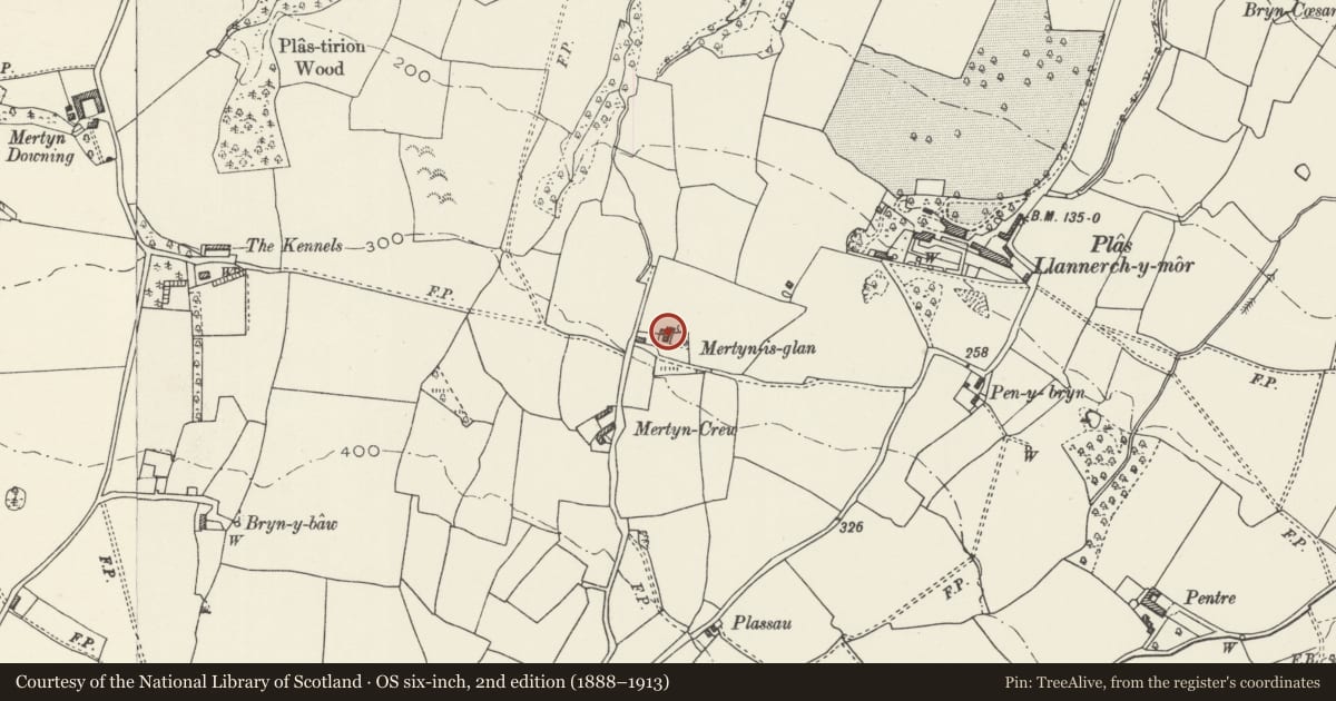 Ordnance Survey six-inch map, 2nd edition (1888–1913) covering the location of Mertyn Isaf, Mostyn, Flintshire, with a pin at the register's coordinates
