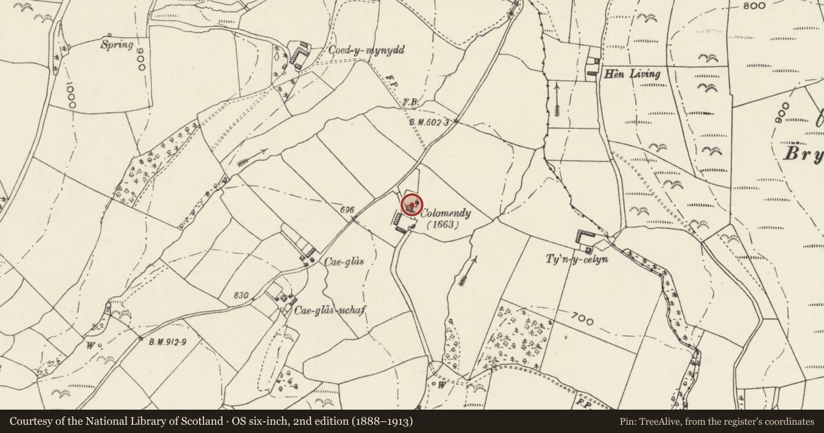 Ordnance Survey six-inch map, 2nd edition (1888–1913) covering the location of Colomendy, Ysceifiog, Flintshire, with a pin at the register's coordinates