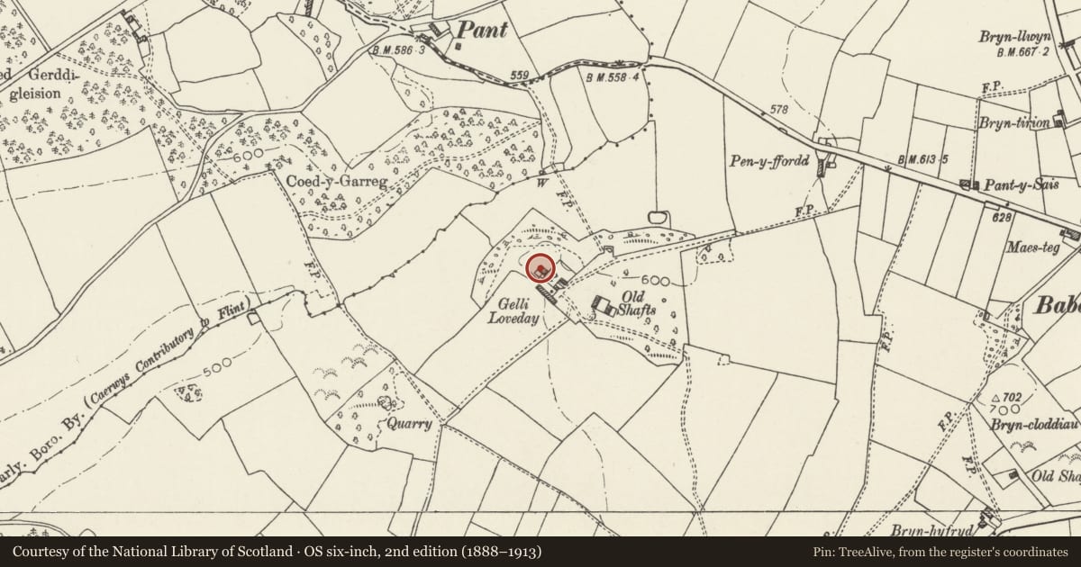 Ordnance Survey six-inch map, 2nd edition (1888–1913) covering the location of Gellilyfdy, Ysceifiog, Flintshire, with a pin at the register's coordinates