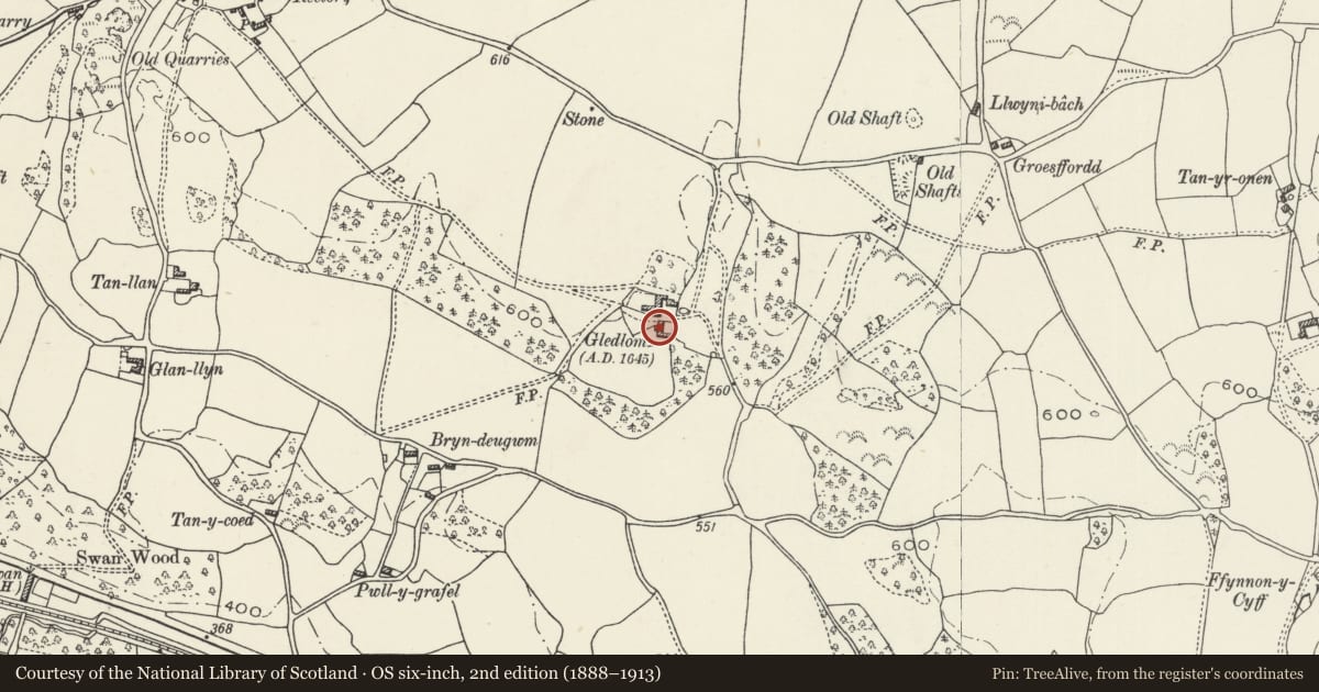 Ordnance Survey six-inch map, 2nd edition (1888–1913) covering the location of Gledlom, Ysceifiog, Flintshire, with a pin at the register's coordinates