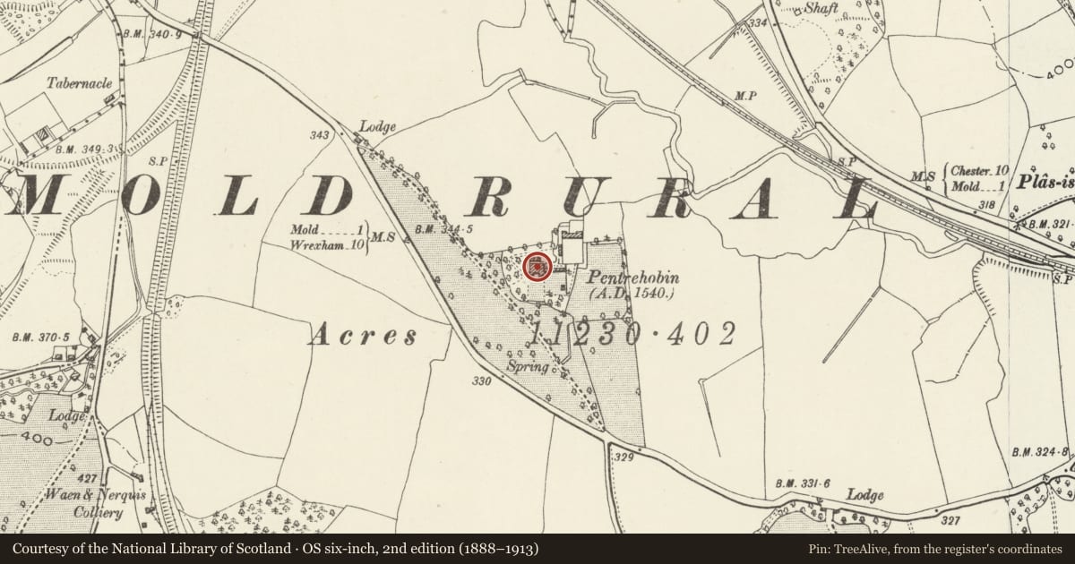 Ordnance Survey six-inch map, 2nd edition (1888–1913) covering the location of Pentrehobyn, Leeswood and Pontblyddyn, Flintshire, with a pin at the register's coordinates