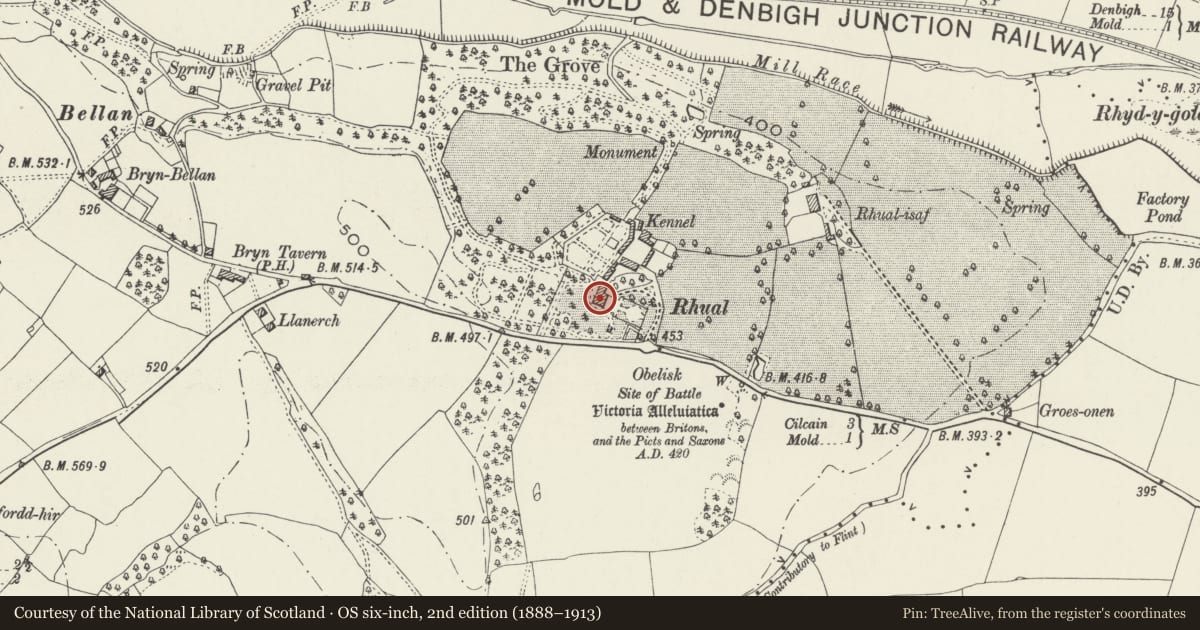 Ordnance Survey six-inch map, 2nd edition (1888–1913) covering the location of Rhual (including attached wall to the North side), Gwernaffield with Pantmwyn, Flintshire, with a pin at the register's coordinates