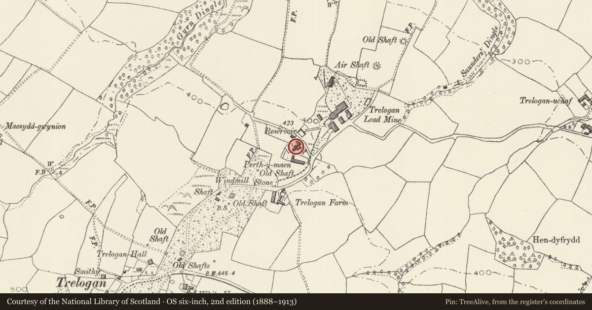 Ordnance Survey six-inch map, 2nd edition (1888–1913) covering the location of Berthymaen, Llanasa, Flintshire, with a pin at the register's coordinates