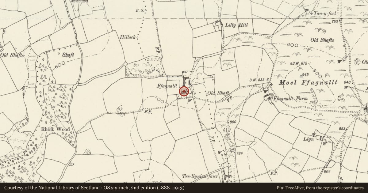 Ordnance Survey six-inch map, 2nd edition (1888–1913) covering the location of Ffagnallt, Halkyn, Flintshire, with a pin at the register's coordinates