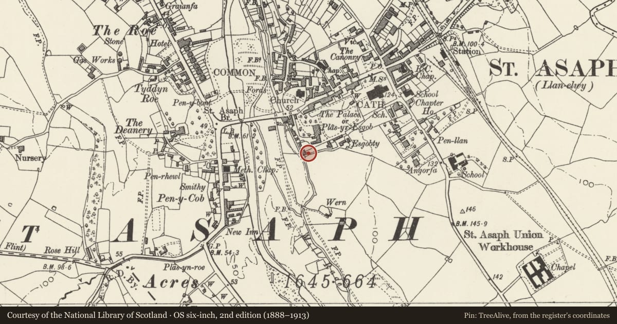 Ordnance Survey six-inch map, 2nd edition (1888–1913) covering the location of Dovecote at Esgonty Farm, St. Asaph, Denbighshire, with a pin at the register's coordinates