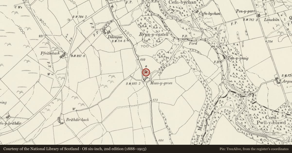 Ordnance Survey six-inch map, 2nd edition (1888–1913) covering the location of Maes-y-Groes Bella, Cilcain, Flintshire, with a pin at the register's coordinates