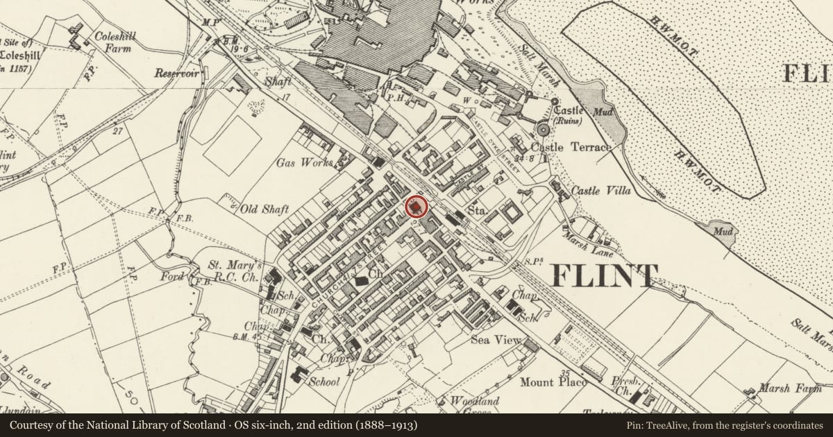 Ordnance Survey six-inch map, 2nd edition (1888–1913) covering the location of Town Hall, Flint, Flintshire, with a pin at the register's coordinates
