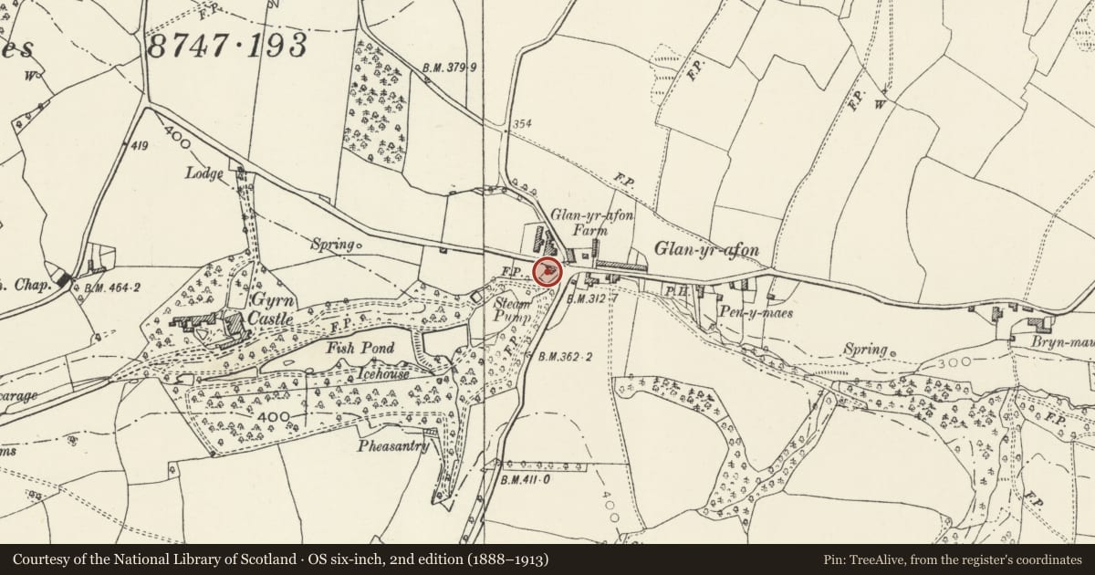 Ordnance Survey six-inch map, 2nd edition (1888–1913) covering the location of South Lodge, Llanasa, Flintshire, with a pin at the register's coordinates