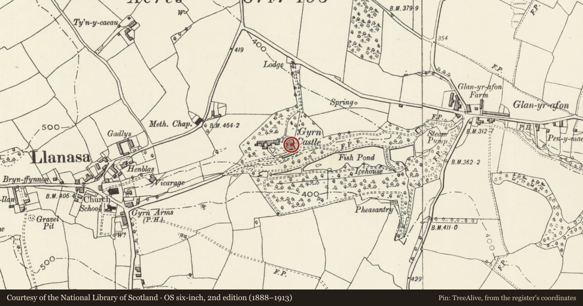 Ordnance Survey six-inch map, 2nd edition (1888–1913) covering the location of Gyrn Castle, Llanasa, Flintshire, with a pin at the register's coordinates