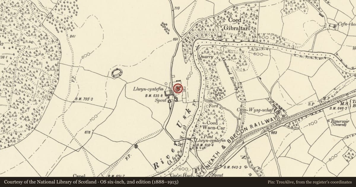 Ordnance Survey six-inch map, 2nd edition (1888–1913) covering the location of Llwyncyntefin, Maescar, Powys, with a pin at the register's coordinates