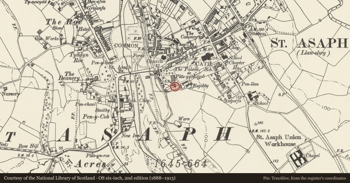 Ordnance Survey six-inch map, 2nd edition (1888–1913) covering the location of Garden Wall at Esgobty Farm, St. Asaph, Denbighshire, with a pin at the register's coordinates