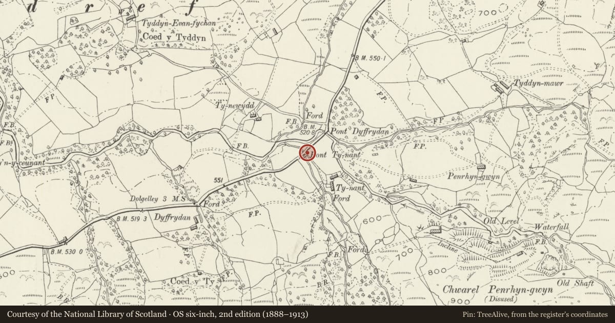 Ordnance Survey six-inch map, 2nd edition (1888–1913) covering the location of Pont Ty-Nant, Arthog, Gwynedd, with a pin at the register's coordinates