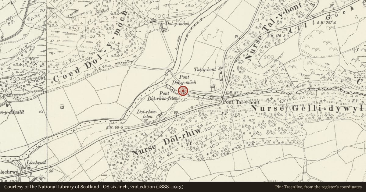 Ordnance Survey six-inch map, 2nd edition (1888–1913) covering the location of Pont Dol-Rhiw-Felen, Ffestiniog, Gwynedd, with a pin at the register's coordinates