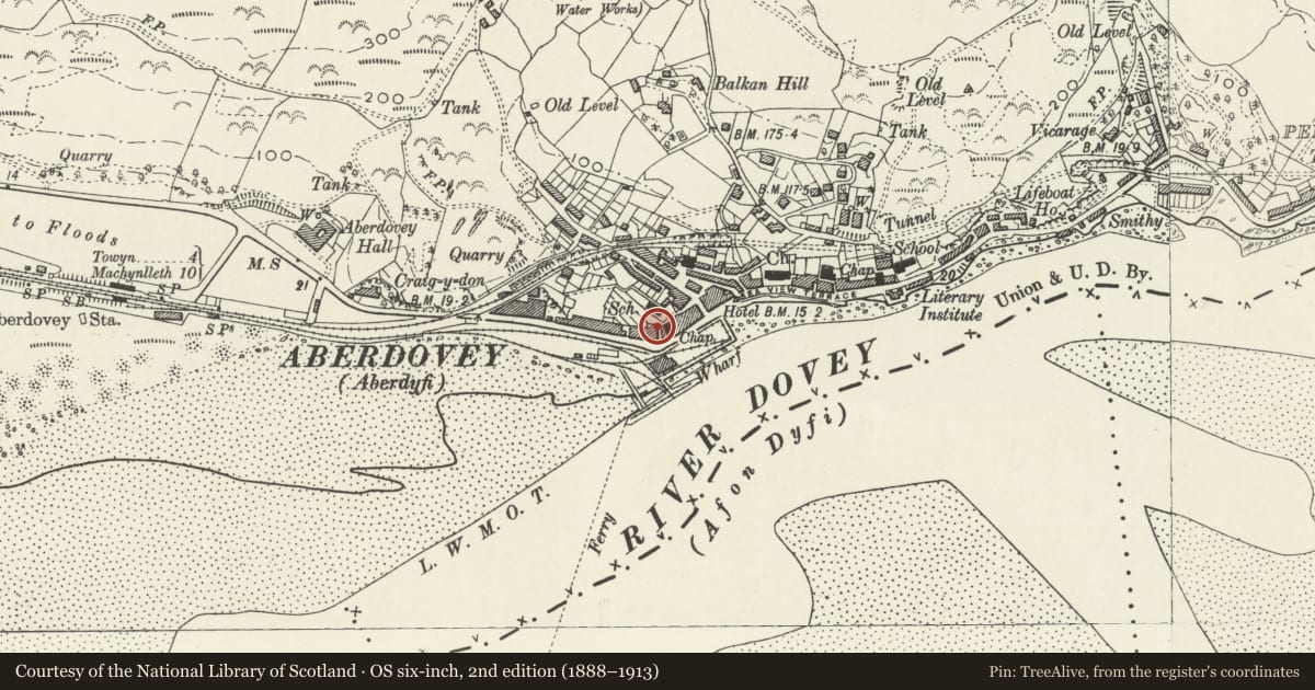 Ordnance Survey six-inch map, 2nd edition (1888–1913) covering the location of Medical Hall, Aberdovey, Gwynedd, with a pin at the register's coordinates