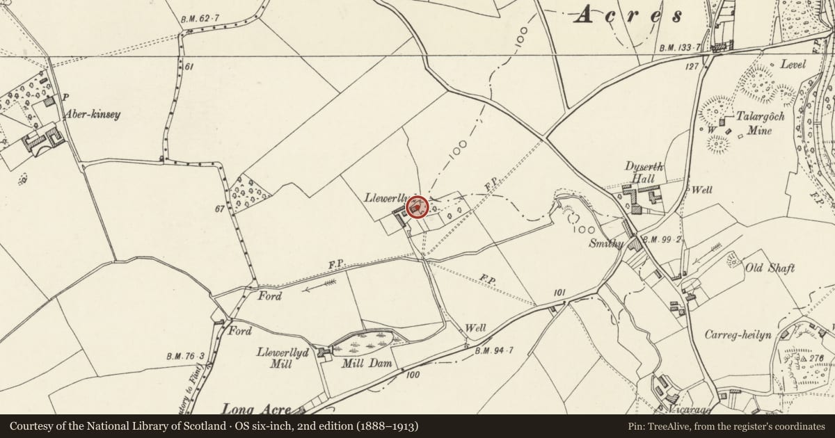 Ordnance Survey six-inch map, 2nd edition (1888–1913) covering the location of Llewerllyd farmhouse, Dyserth, Denbighshire, with a pin at the register's coordinates