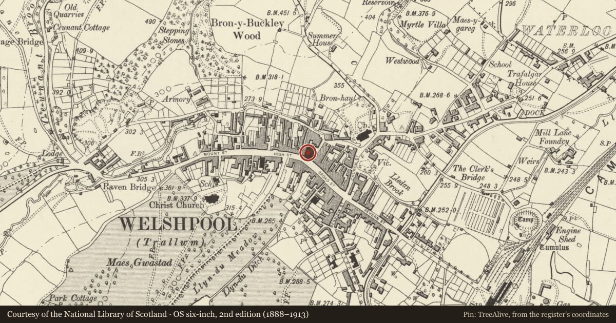 Ordnance Survey six-inch map, 2nd edition (1888–1913) covering the location of Town Hall and Market, Welshpool, Powys, with a pin at the register's coordinates