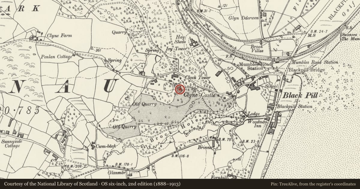 Ordnance Survey six-inch map, 2nd edition (1888–1913) covering the location of Clyne Castle (also known as Neuadd Gilbertson), Mumbles, Swansea, with a pin at the register's coordinates