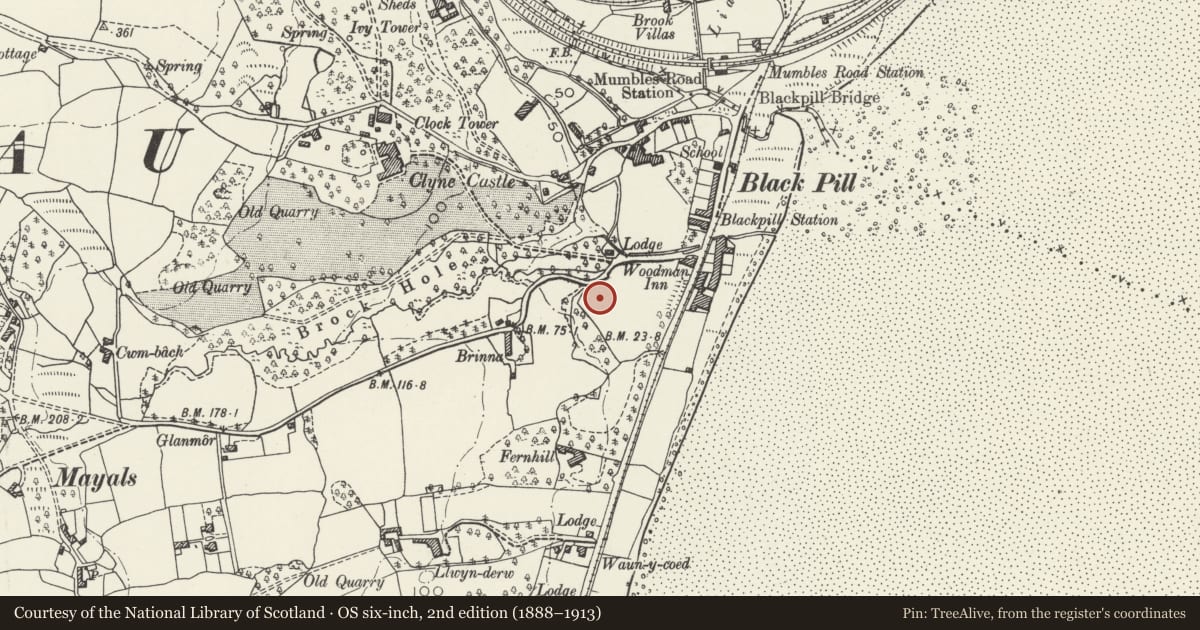 Ordnance Survey six-inch map, 2nd edition (1888–1913) covering the location of Clyne Chapel, Mumbles, Swansea, with a pin at the register's coordinates