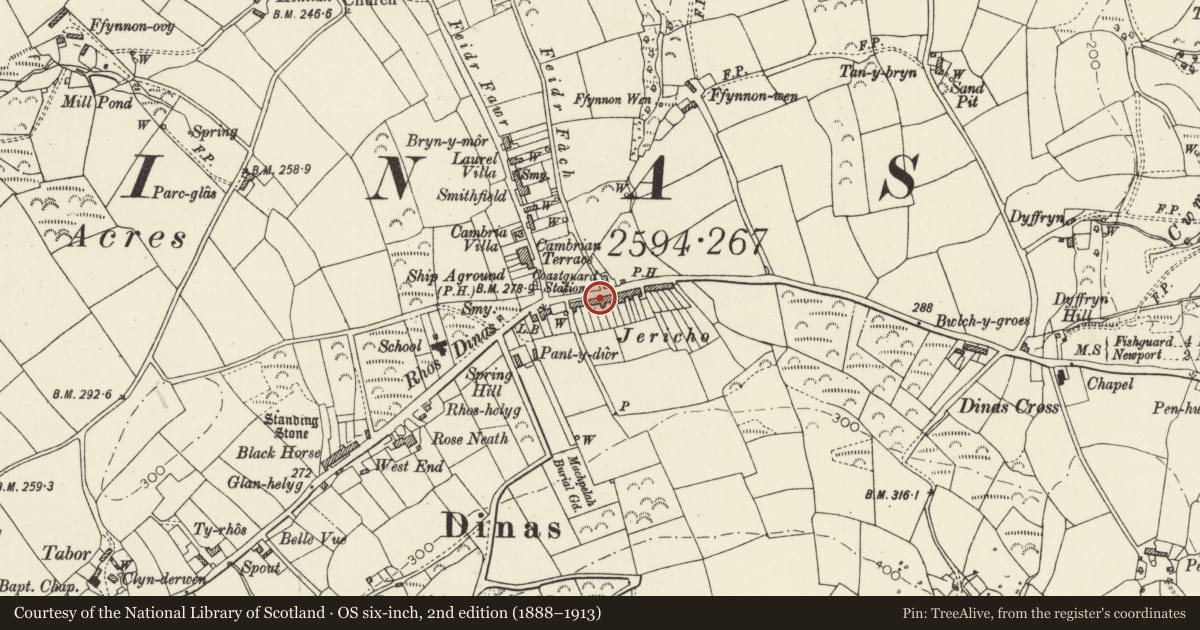 Ordnance Survey six-inch map, 2nd edition (1888–1913) covering the location of Castle Green including Front Railings, Dinas Cross, Pembrokeshire, with a pin at the register's coordinates