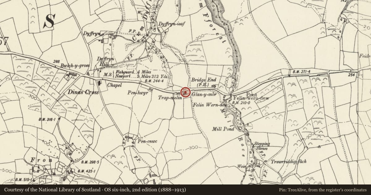 Ordnance Survey six-inch map, 2nd edition (1888–1913) covering the location of Glanymor, Dinas Cross, Pembrokeshire, with a pin at the register's coordinates