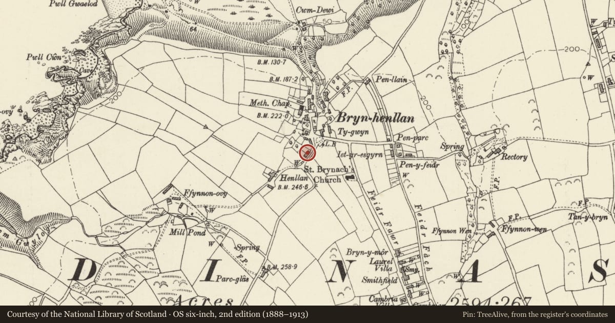 Ordnance Survey six-inch map, 2nd edition (1888–1913) covering the location of Llwynhendy, Dinas Cross, Pembrokeshire, with a pin at the register's coordinates