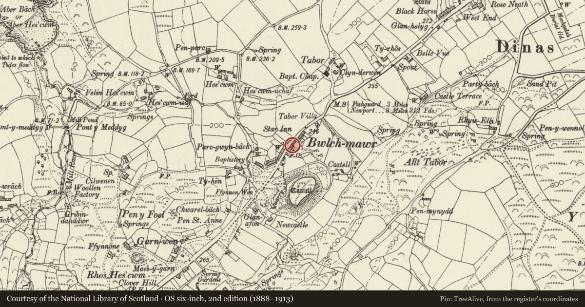 Ordnance Survey six-inch map, 2nd edition (1888–1913) covering the location of Castle Hill, Dinas Cross, Pembrokeshire, with a pin at the register's coordinates