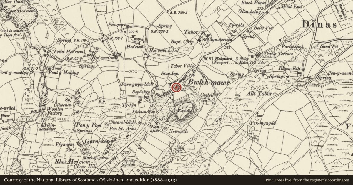Ordnance Survey six-inch map, 2nd edition (1888–1913) covering the location of Greystones, Dinas Cross, Pembrokeshire, with a pin at the register's coordinates
