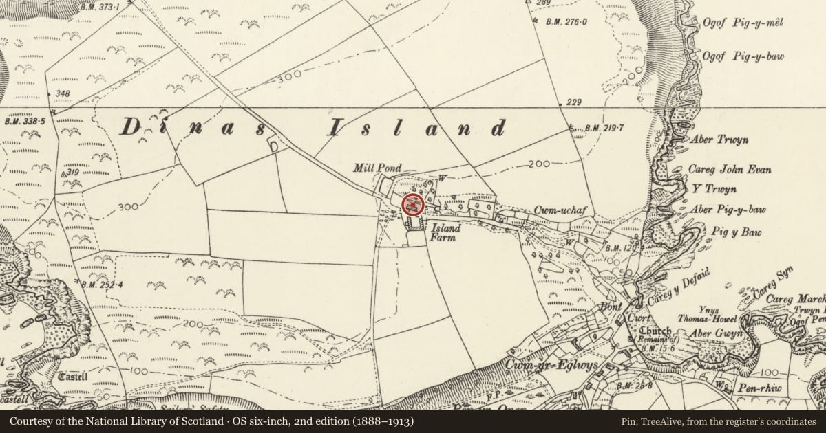 Ordnance Survey six-inch map, 2nd edition (1888–1913) covering the location of Island Farmhouse, Dinas Cross, Pembrokeshire, with a pin at the register's coordinates