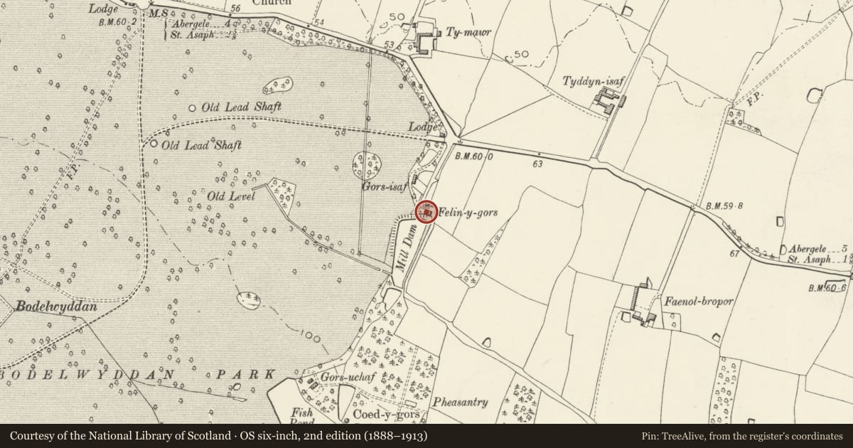 Ordnance Survey six-inch map, 2nd edition (1888–1913) covering the location of Felin-y-gors, Bodelwyddan, Denbighshire, with a pin at the register's coordinates