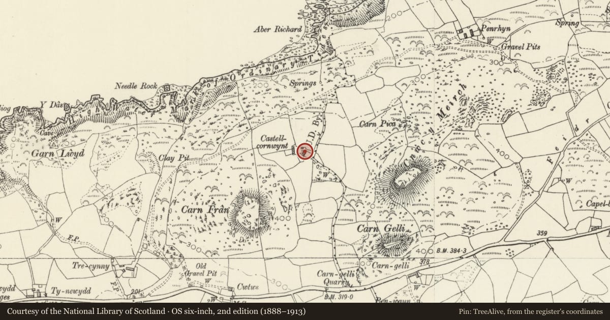Ordnance Survey six-inch map, 2nd edition (1888–1913) covering the location of Former Farmhouse at Castell Farmyard, Dinas Cross, Pembrokeshire, with a pin at the register's coordinates