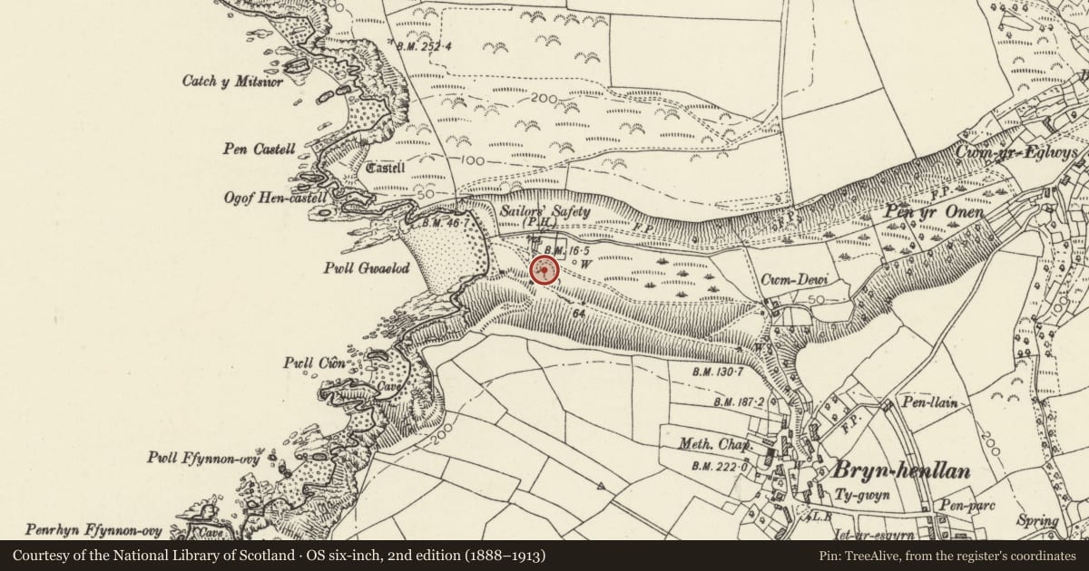 Ordnance Survey six-inch map, 2nd edition (1888–1913) covering the location of Limekiln Close to Beach, Dinas Cross, Pembrokeshire, with a pin at the register's coordinates