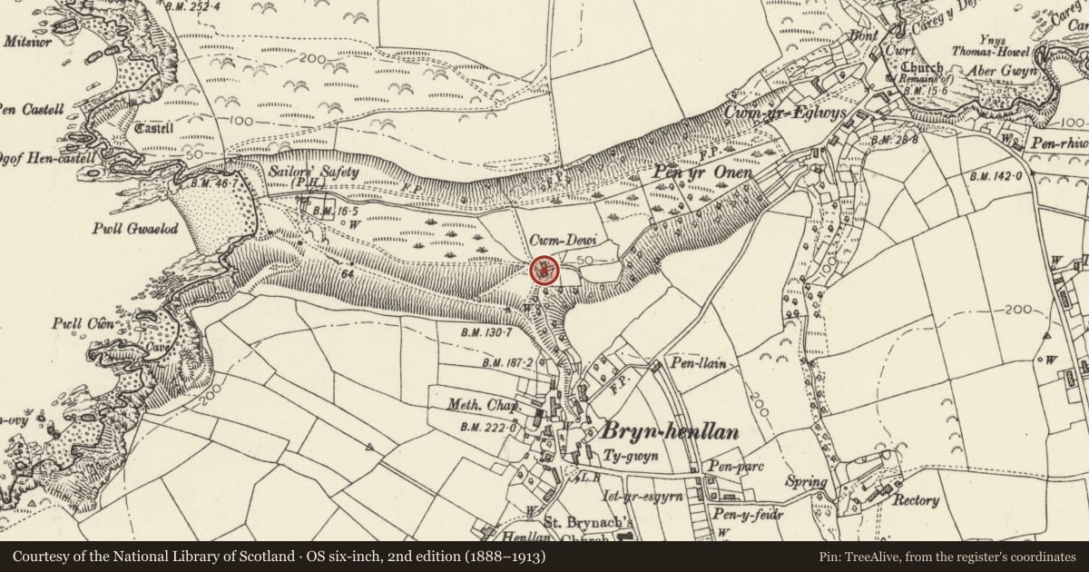 Ordnance Survey six-inch map, 2nd edition (1888–1913) covering the location of Cwm Dewi Fach, Dinas Cross, Pembrokeshire, with a pin at the register's coordinates