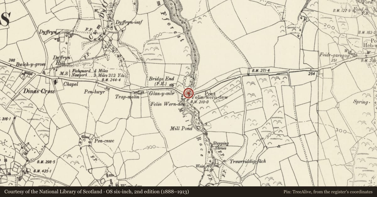 Ordnance Survey six-inch map, 2nd edition (1888–1913) covering the location of Pont Felinwerndew (partly in Newport Community), Dinas Cross, Pembrokeshire, with a pin at the register's coordinates