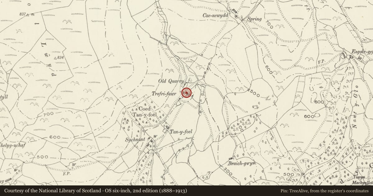 Ordnance Survey six-inch map, 2nd edition (1888–1913) covering the location of Barn at Trefri Fawr, Aberdovey, Gwynedd, with a pin at the register's coordinates