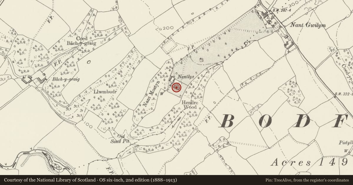 Ordnance Survey six-inch map, 2nd edition (1888–1913) covering the location of Nantlys, Tremeirchion, Denbighshire, with a pin at the register's coordinates
