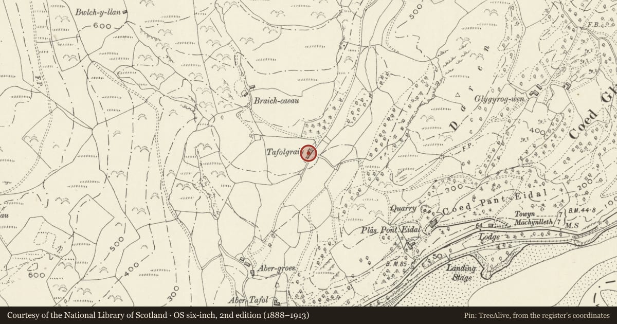 Ordnance Survey six-inch map, 2nd edition (1888–1913) covering the location of Tafolgraig Farmhouse, Aberdovey, Gwynedd, with a pin at the register's coordinates