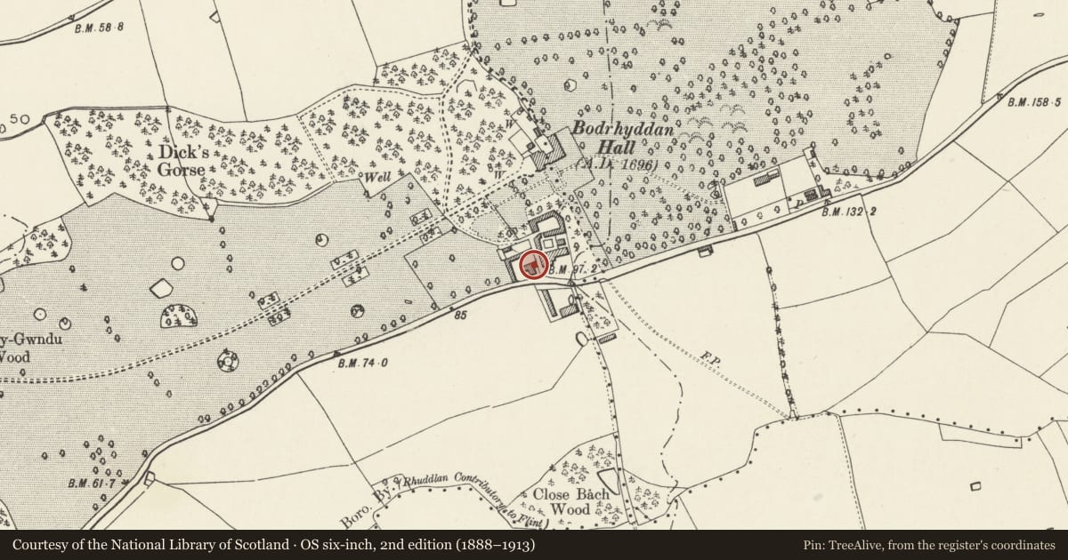 Ordnance Survey six-inch map, 2nd edition (1888–1913) covering the location of Former Smithy and Engine-House at Bodrhyddan Home Farm, Rhuddlan, Denbighshire, with a pin at the register's coordinates