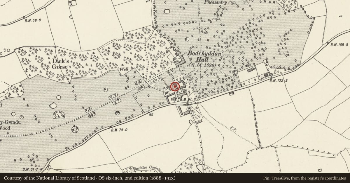 Ordnance Survey six-inch map, 2nd edition (1888–1913) covering the location of Memorial Fountain at N end of Home Farm Driveway, Rhuddlan, Denbighshire, with a pin at the register's coordinates