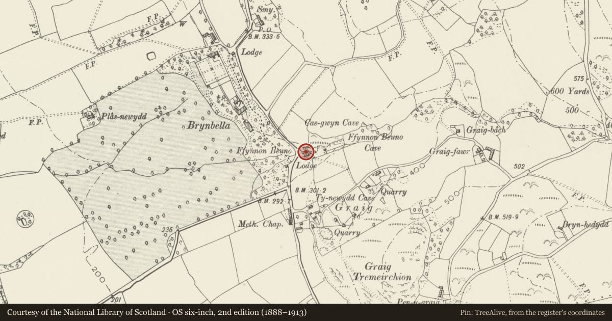 Ordnance Survey six-inch map, 2nd edition (1888–1913) covering the location of Enclosed pool and well head at Ffynnon Beuno, Tremeirchion, Denbighshire, with a pin at the register's coordinates
