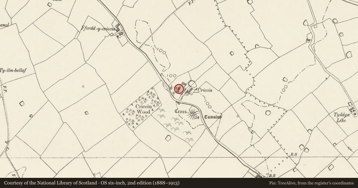 Ordnance Survey six-inch map, 2nd edition (1888–1913) covering the location of Criccin Fawr Farmhouse, Rhuddlan, Denbighshire, with a pin at the register's coordinates