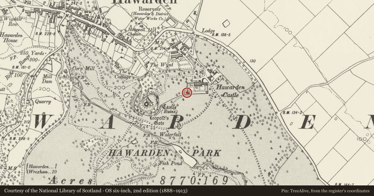 Ordnance Survey six-inch map, 2nd edition (1888–1913) covering the location of Tea Pavilion, Hawarden Castle Estate, Flintshire, with a pin at the register's coordinates