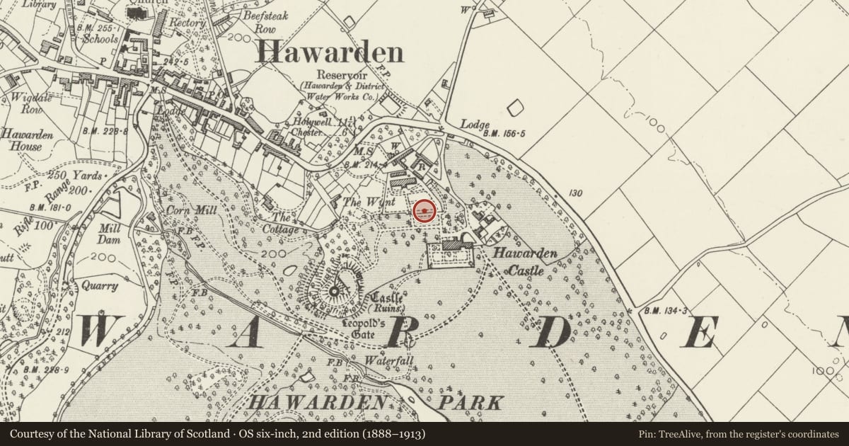 Ordnance Survey six-inch map, 2nd edition (1888–1913) covering the location of 75m Section of Kitchen Wall to NW of New Castle, Hawarden, Flintshire, with a pin at the register's coordinates