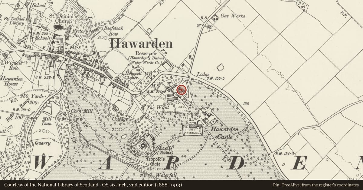 Ordnance Survey six-inch map, 2nd edition (1888–1913) covering the location of Garage Yard and Gallery (former stables and coach-house), Hawarden, Flintshire, with a pin at the register's coordinates