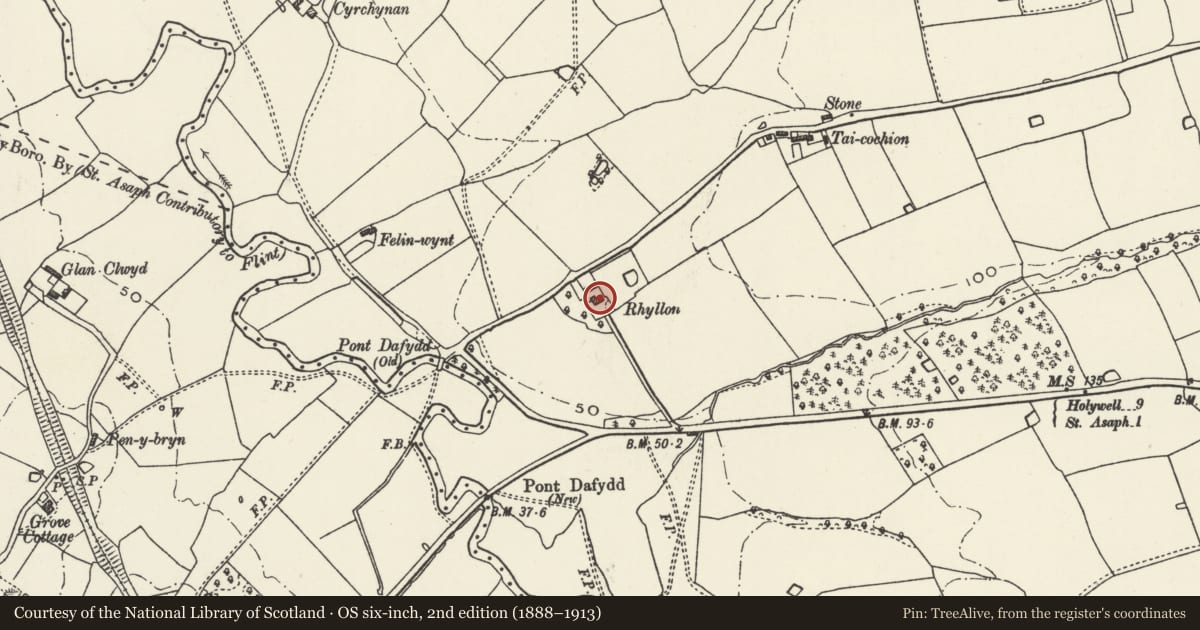 Ordnance Survey six-inch map, 2nd edition (1888–1913) covering the location of Rhyllon Farmhouse, Waen, Denbighshire, with a pin at the register's coordinates