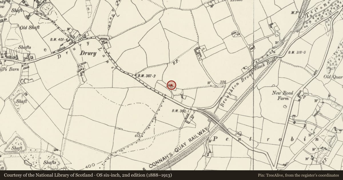 Ordnance Survey six-inch map, 2nd edition (1888–1913) covering the location of White Cottage, Hawarden, Flintshire, with a pin at the register's coordinates