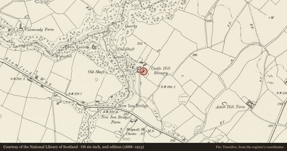 Ordnance Survey six-inch map, 2nd edition (1888–1913) covering the location of Main House at Castle Hill Farm, Hawarden, Flintshire, with a pin at the register's coordinates