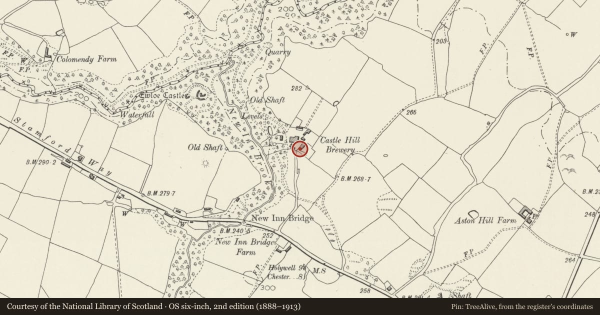 Ordnance Survey six-inch map, 2nd edition (1888–1913) covering the location of Low attached extensions at Castle Hill Farm, Hawarden, Flintshire, with a pin at the register's coordinates